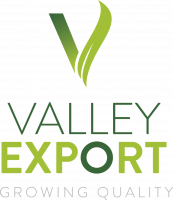 gallery/logo ve